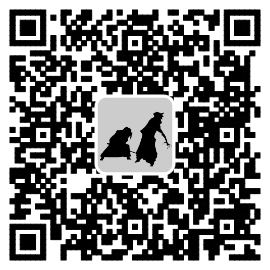 孤影剑客-技术整理_ 图片描述